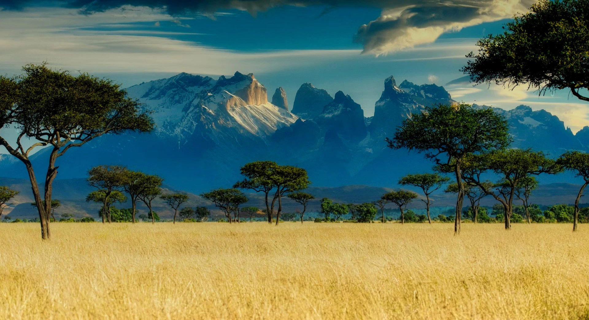Africa Africa