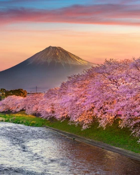 Japan Japan