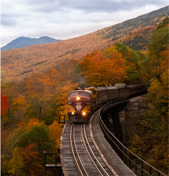International Rail Pass