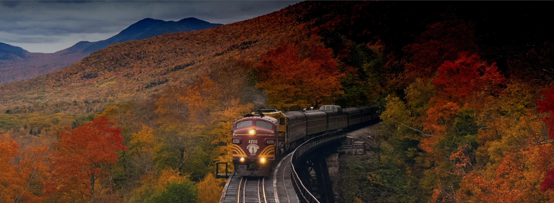 International Rail Pass