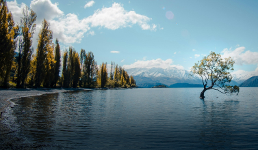 New Zealand